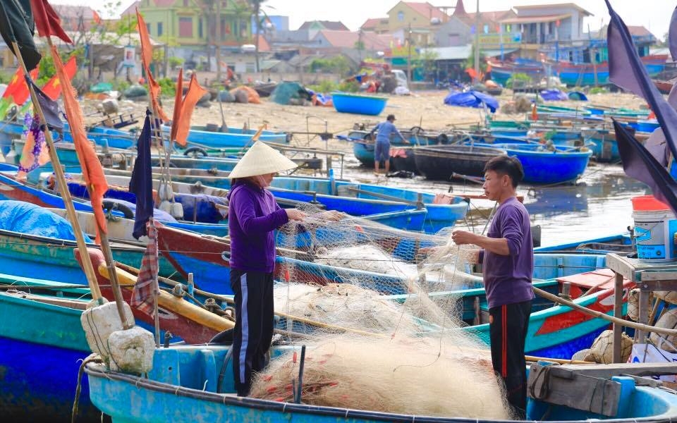 Trồng khoai môn tốt um, dân Nam Định lội bẻ ngó non làm rau đặc sản, bán chạy như tôm tươi - Ảnh 5.