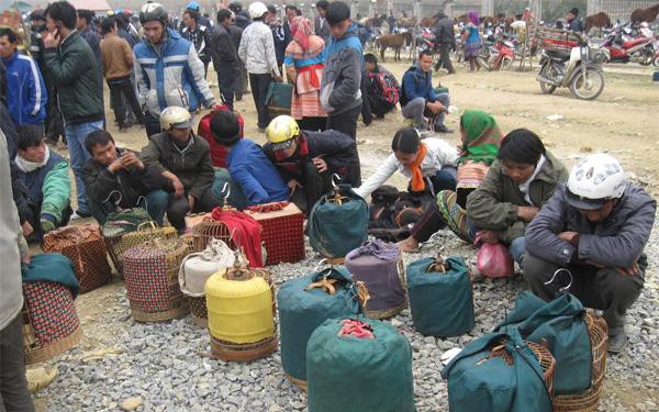 Trồng na Thái ra trái to bự, cây thấp tè đã ra quả quá trời, ông nông dân Đắk Lắk giàu như trúng số - Ảnh 4.