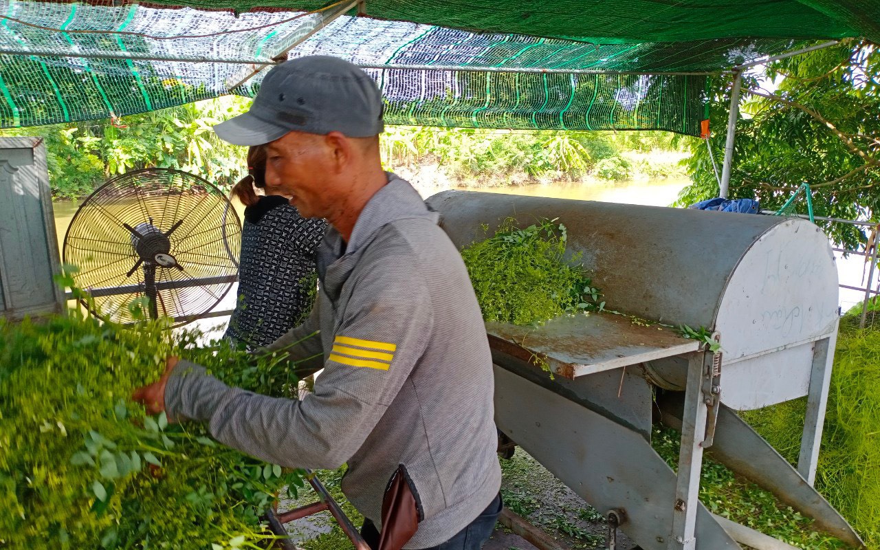 Vì sao lăng mộ cha đẻ vua Gia Long lại quàn tại một làng xa kinh thành Huế, sao lại gọi Lăng Sọ? - Ảnh 4.