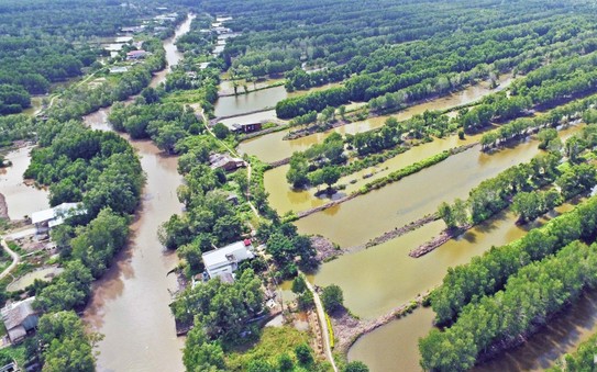 Thị xã duy nhất của tỉnh Lào Cai có một lung lũng tràn màu xanh dần chuyển sang màu vàng lúa chín - Ảnh 3.