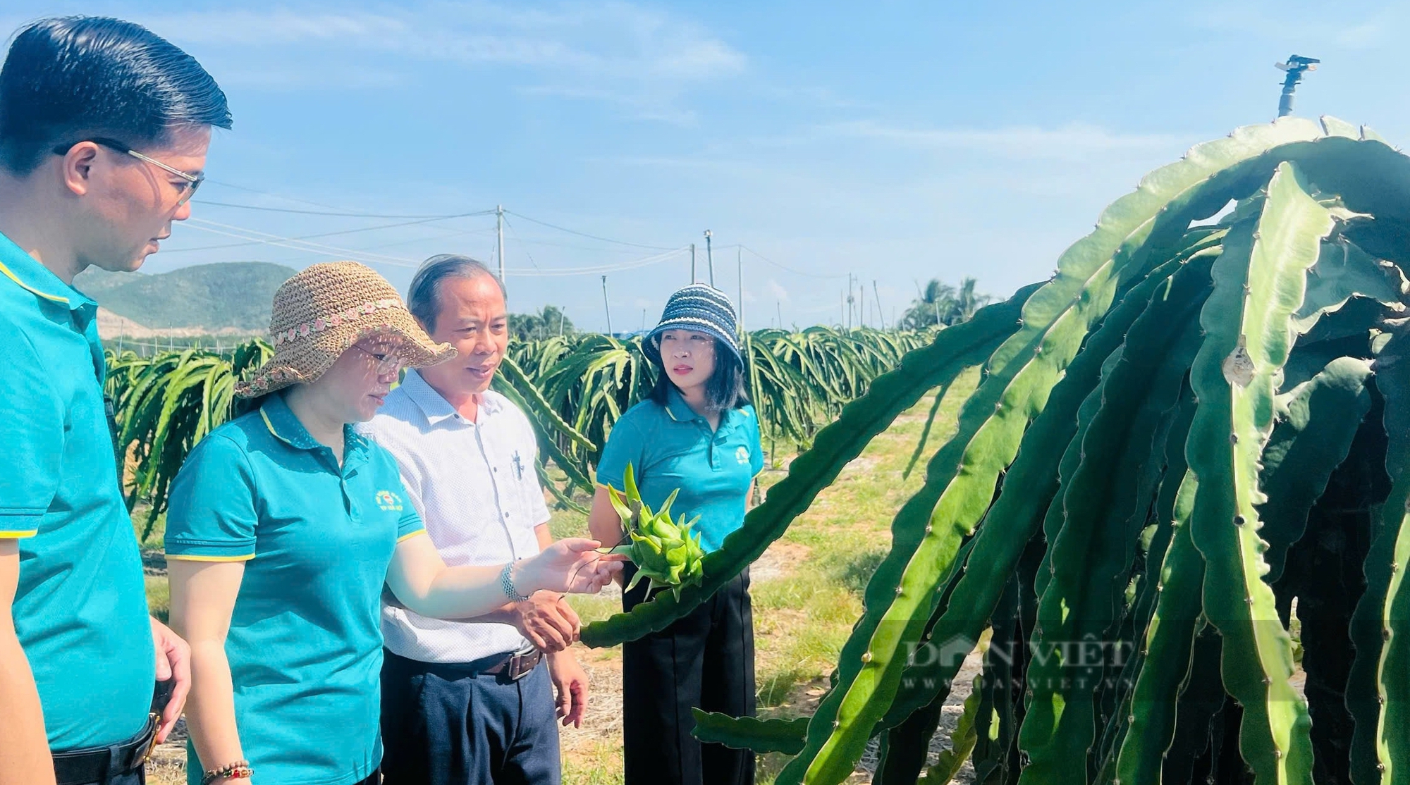 Hội Nông dân Bình Thuận và Hội Nông dân TP. Hà Nội giao lưu, trao đổi kinh nghiệm,- Ảnh 5.