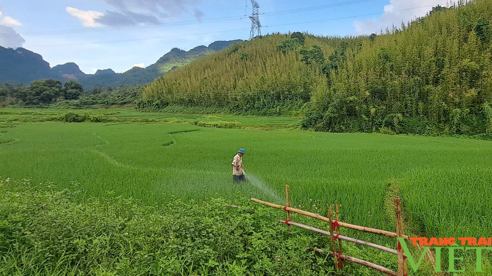 Bình Thanh nỗ lực giữ vững và nâng cao các tiêu chí nông thôn mới - Ảnh 3.