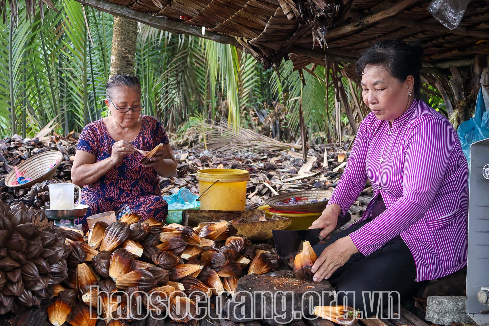 “Quả ngọt” từ “đám lá sinh kế” - Ảnh 1.