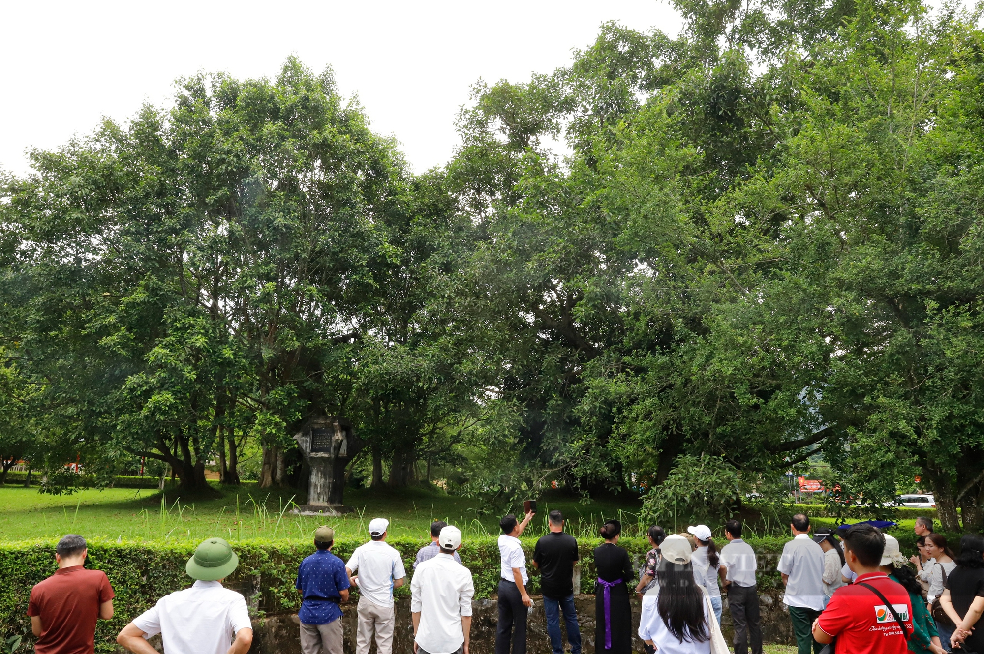 Khám phá ngôi làng được biết đến là “Trung tâm Thủ đô lâm thời, trái tim cách mạng Việt Nam" - Ảnh 5.