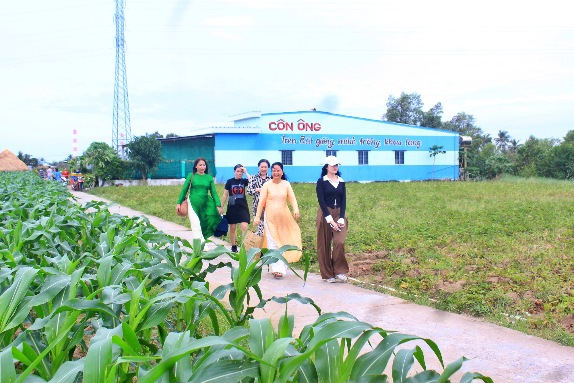 Thưởng thức múa Apsara, sản phẩm OCOP, bún suông Trà Vinh tại TP.HCM - Ảnh 9.