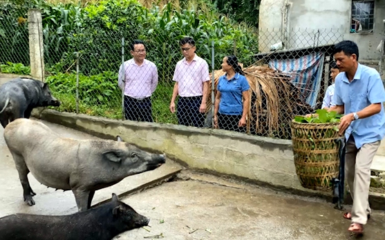 Một nông dân Quảng Trị có thu nhập hơn 200 triệu/năm với mô hình nuôi gà gia công ít chi phí - Ảnh 2.