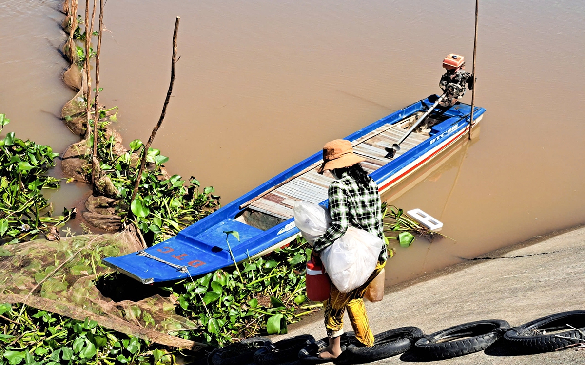 Ở Bình Dương có một loại rau dại, xưa ăn chống đói, nay trên mâm tiệc nhà giàu là món rau đặc sản - Ảnh 2.