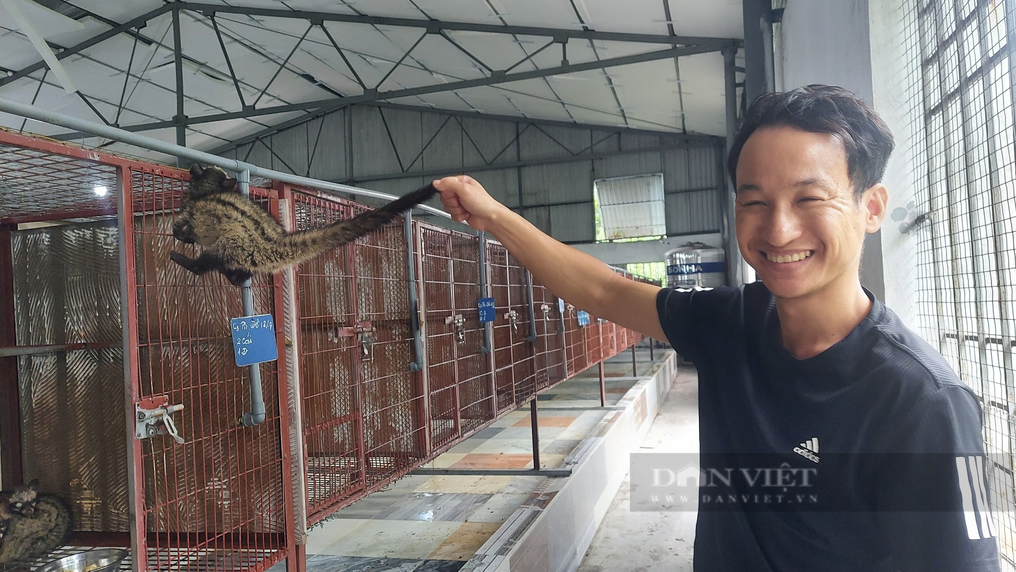 Nuôi thành công giống chồn hương bán làm "đặc sản" nhà giàu, anh nông dân Hải Phòng bỏ túi hàng trăm triệu/ năm - Ảnh 4.