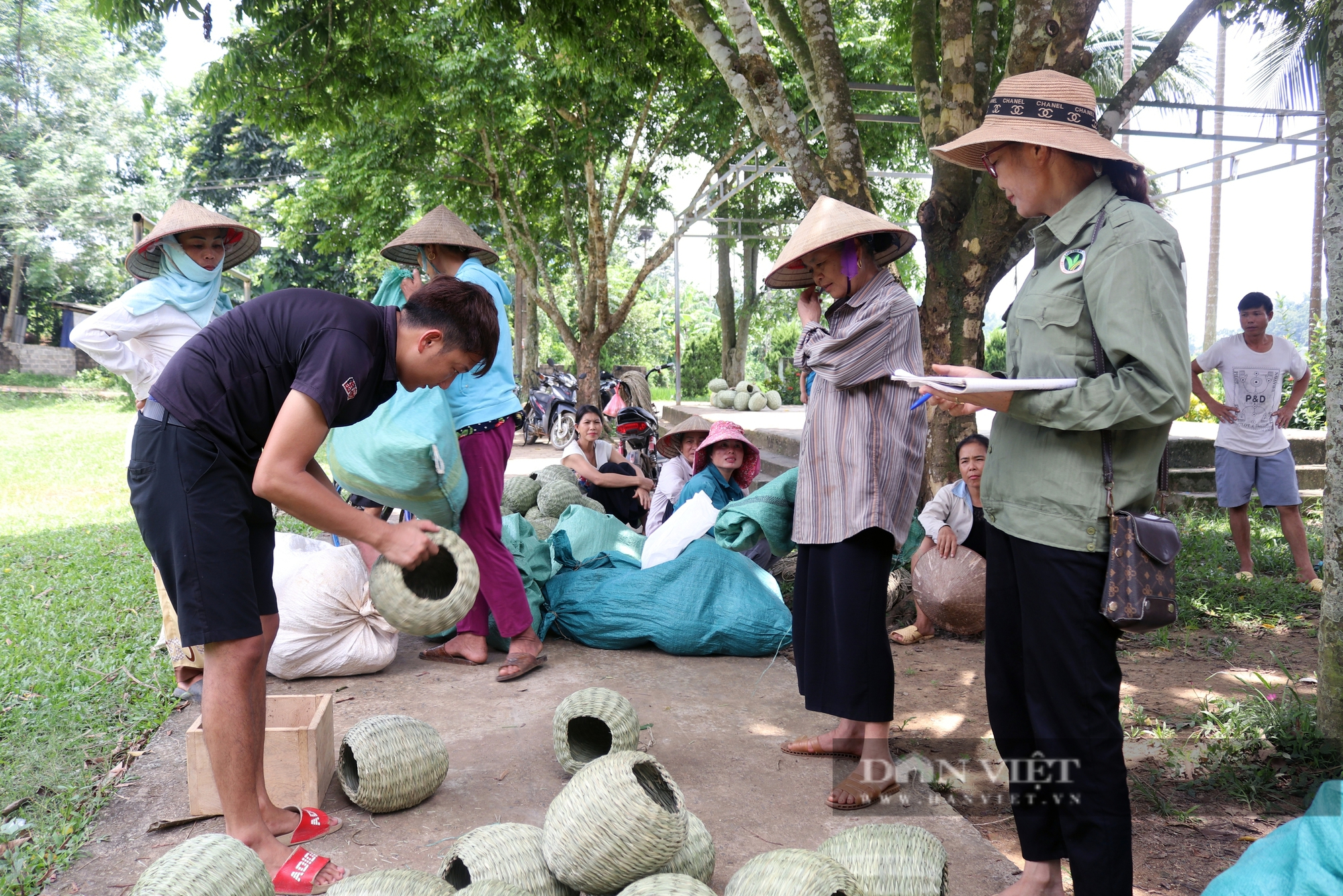 Nông dân Việt Nam xuất sắc 2024 đến từ Hòa Bình, chiến thắng bệnh "hiểm nghèo" trở thành chỗ dựa cho nông dân- Ảnh 2.