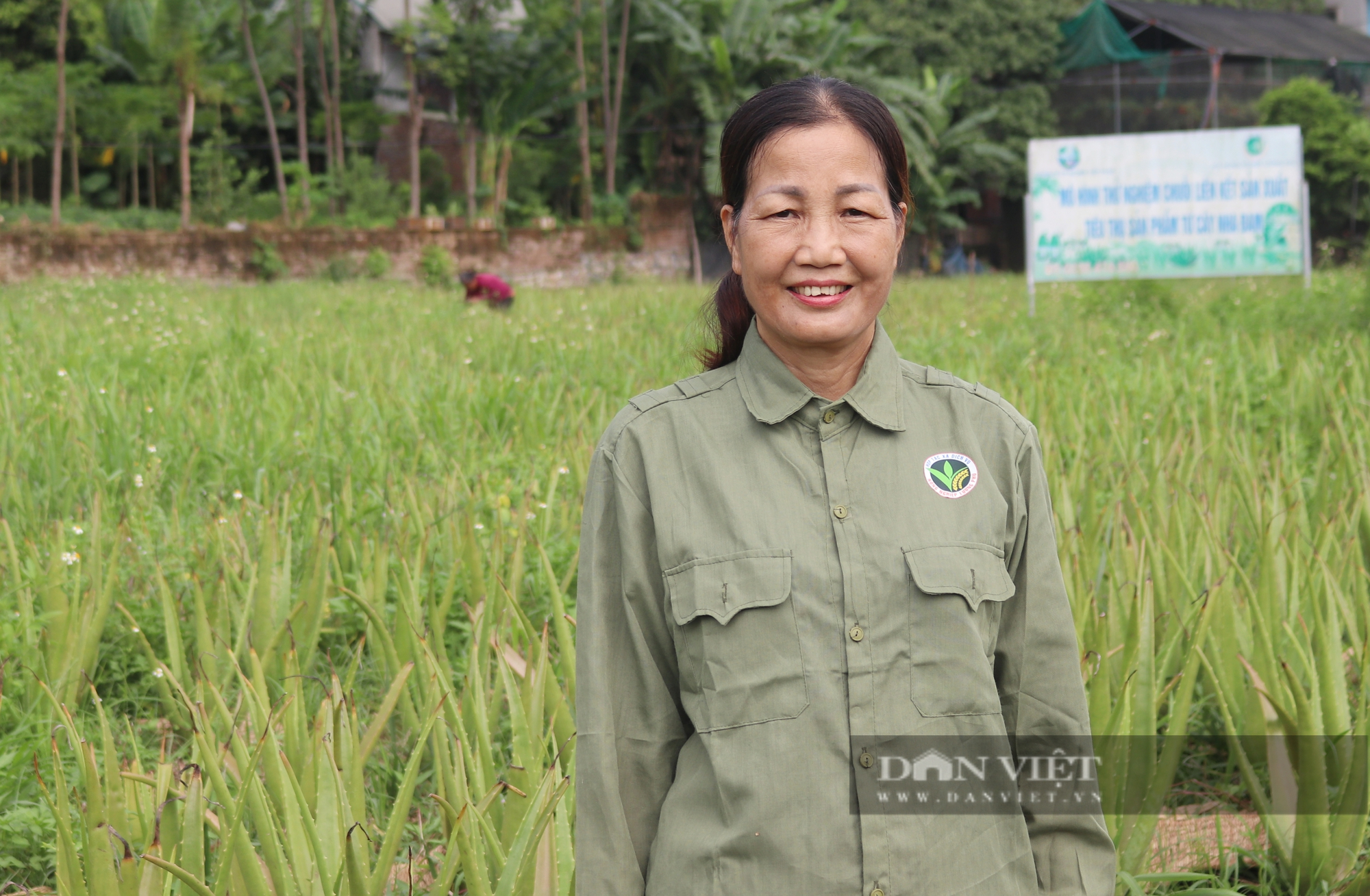 Nông dân Việt Nam xuất sắc 2024 đến từ Hòa Bình, chiến thắng bệnh "hiểm nghèo" trở thành chỗ dựa cho nông dân- Ảnh 5.