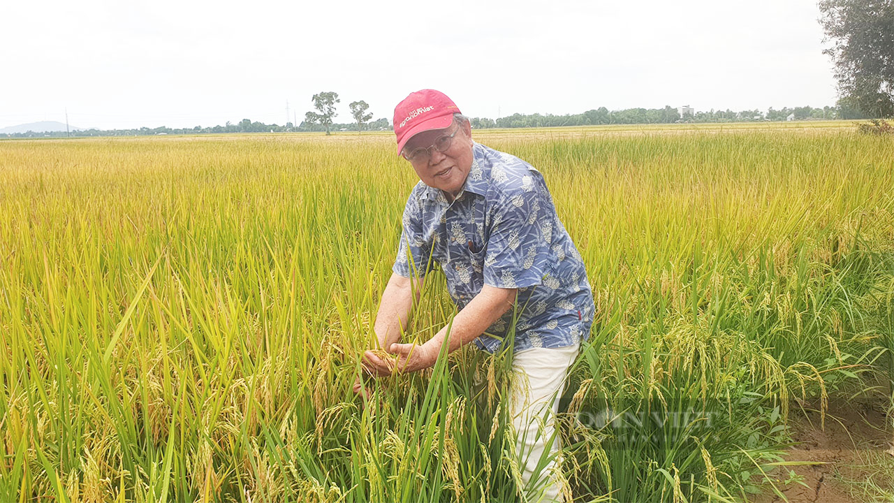 GS Võ Tòng Xuân qua đời: Thầy Xuân mất đi, khoảng trống ở lại... - Ảnh 1.