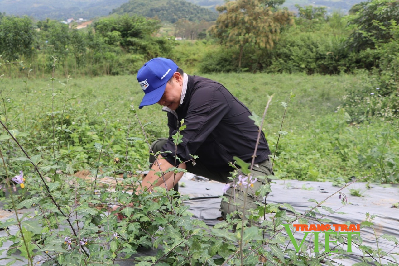 Điện Biên: Nguy cơ người nghèo không được hưởng chính sách hỗ trợ sản xuất - Ảnh 2.