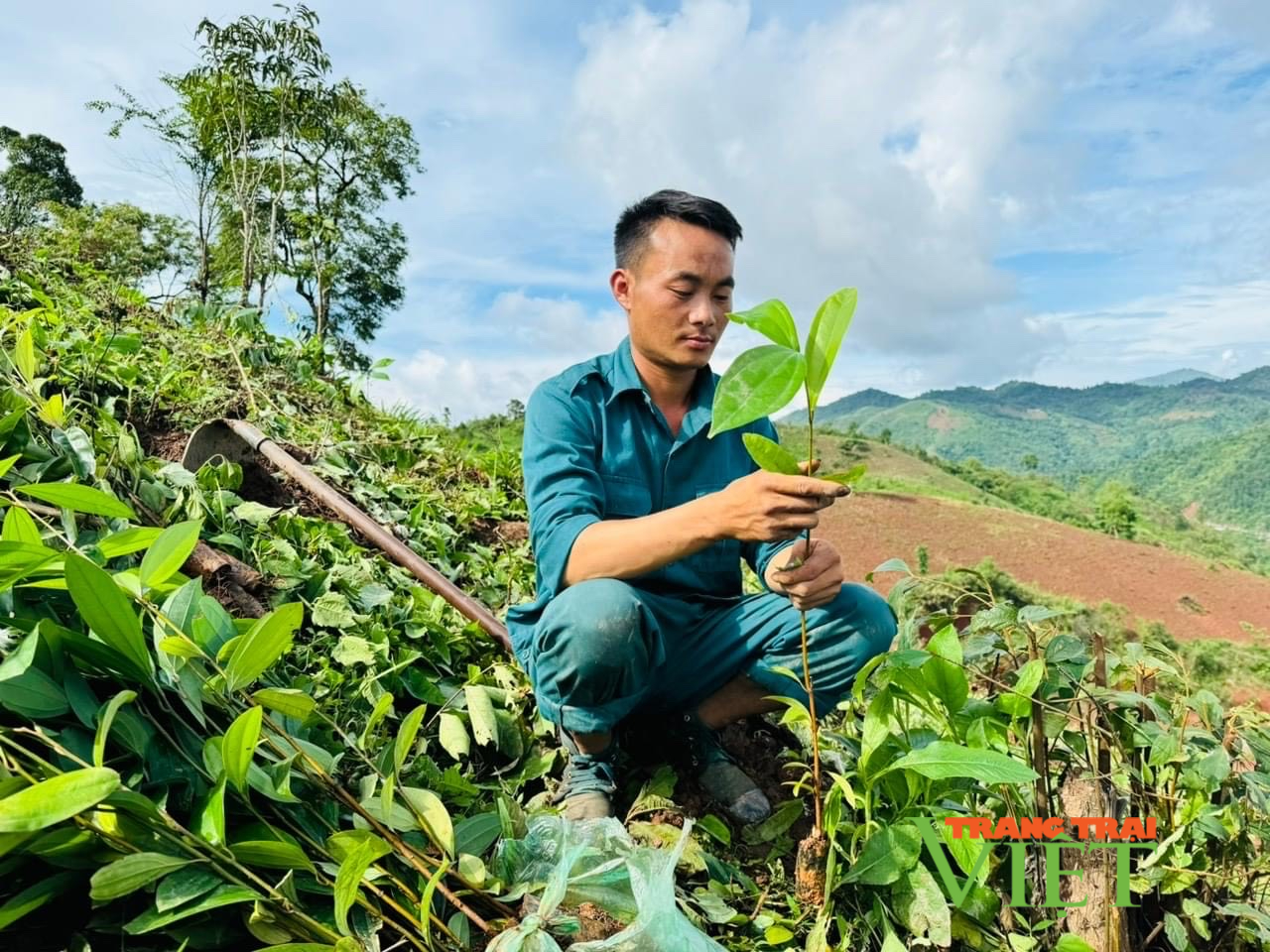 Điện Biên: Nguy cơ người nghèo không được hưởng chính sách hỗ trợ sản xuất - Ảnh 3.