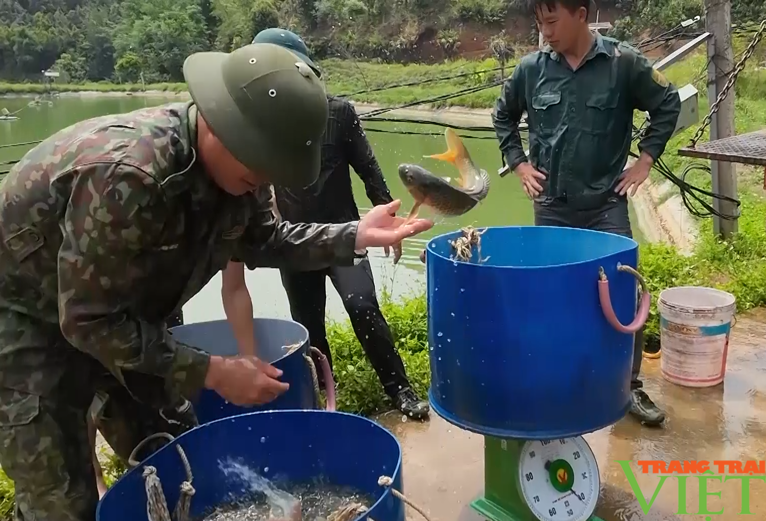 Nghị quyết "vàng" giúp hội viên nông dân phát huy sức mạnh tổng hợp vào phát triển kinh tế - Ảnh 2.