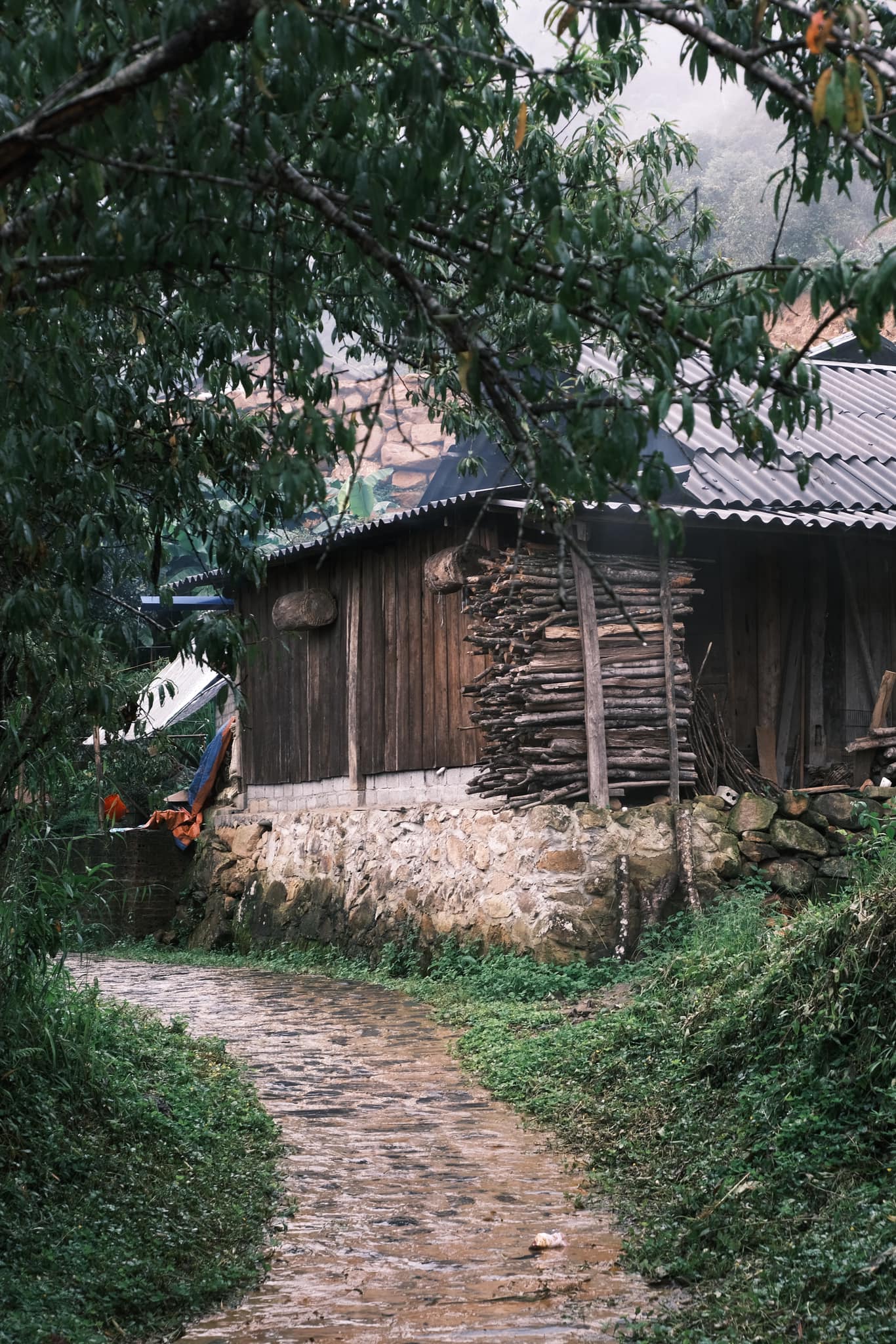 Nữ du khách tiết lộ điểm đến săn mây chẳng kém gì Tà Xùa, thậm chí là nơi "chữa lành" tuyệt vời - Ảnh 3.