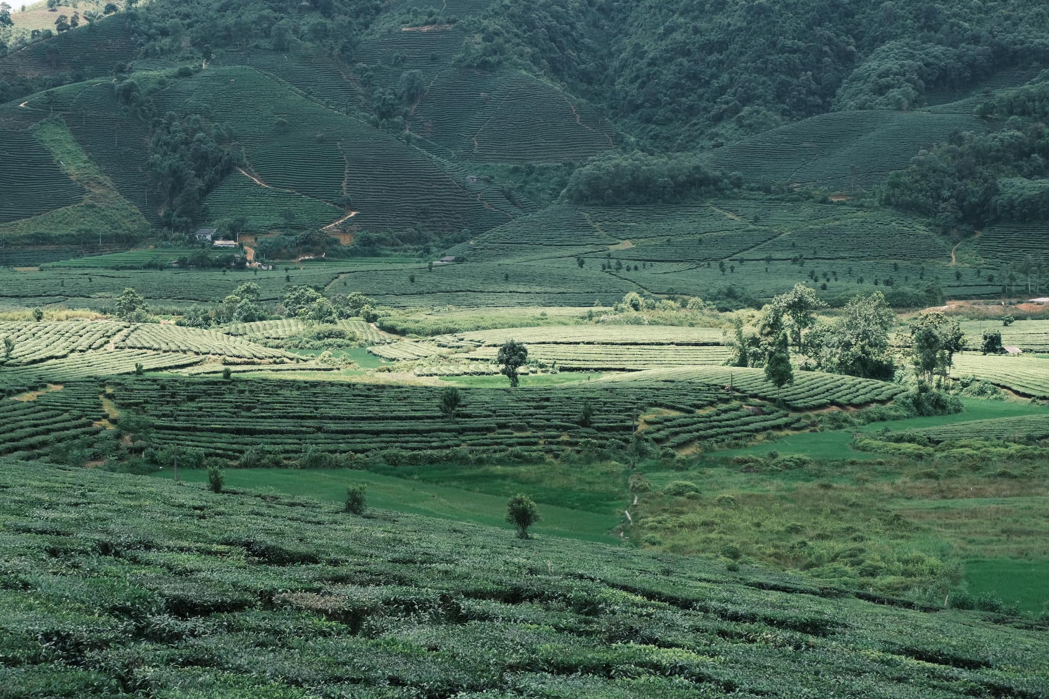 Nữ du khách tiết lộ điểm đến săn mây chẳng kém gì Tà Xùa, thậm chí là nơi "chữa lành" tuyệt vời - Ảnh 5.