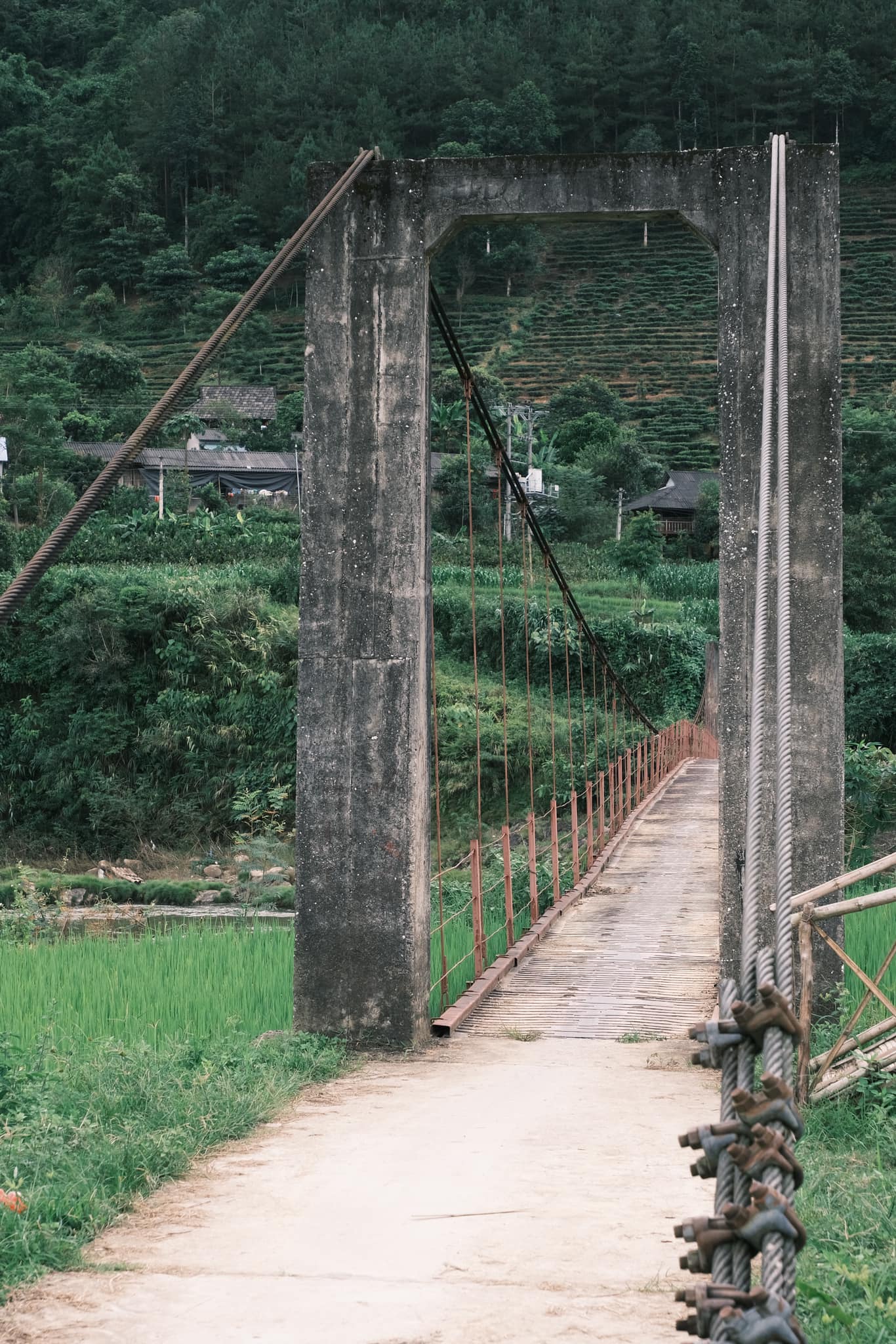 Nữ du khách tiết lộ điểm đến săn mây chẳng kém gì Tà Xùa, thậm chí là nơi "chữa lành" tuyệt vời - Ảnh 7.