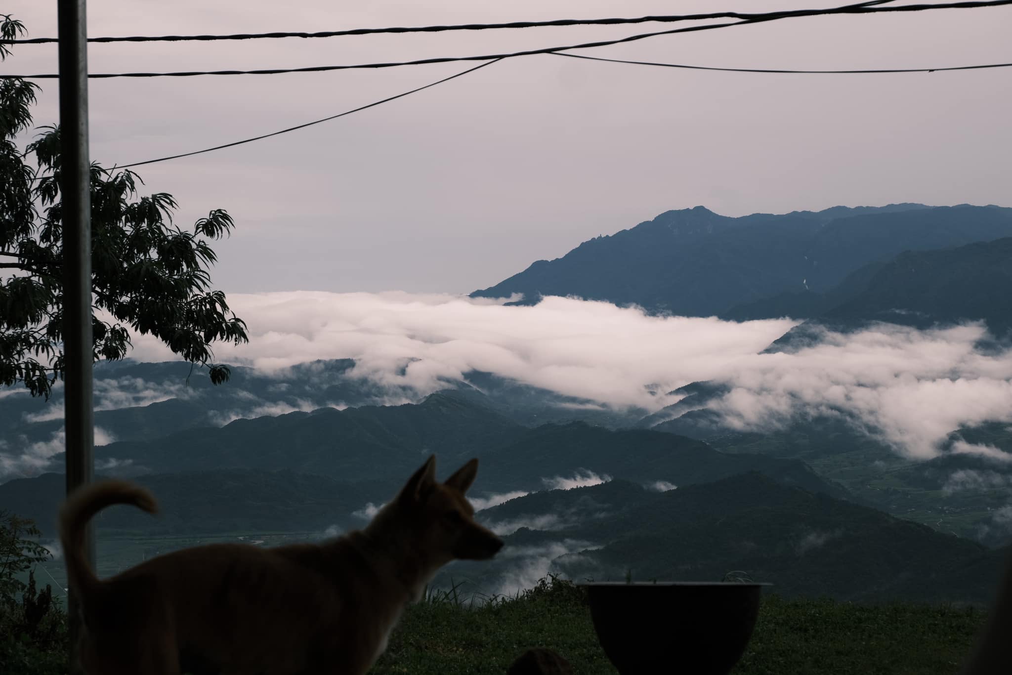 Nữ du khách tiết lộ điểm đến săn mây chẳng kém gì Tà Xùa, thậm chí là nơi "chữa lành" tuyệt vời - Ảnh 10.