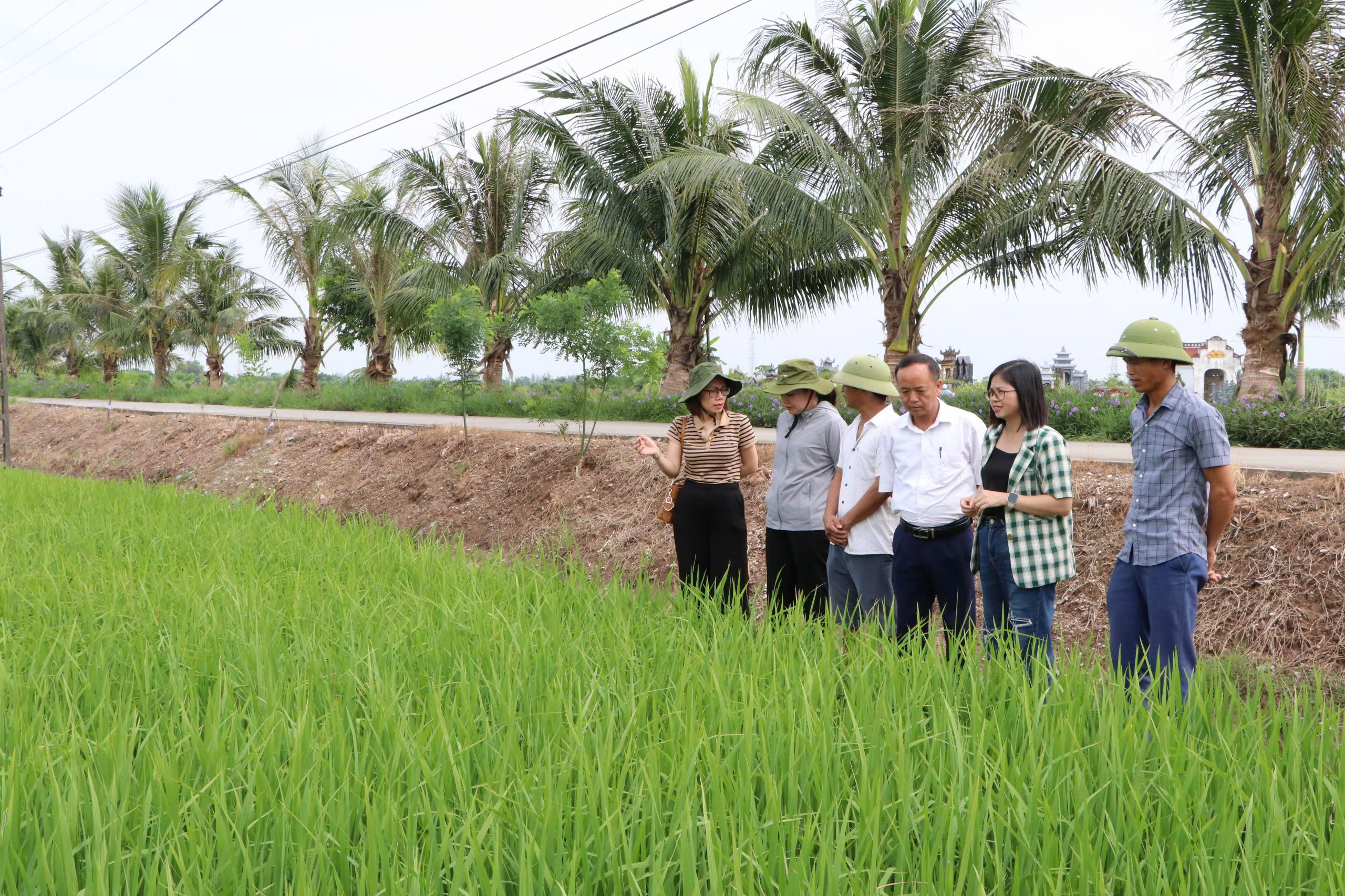 Những "vùng quê dậy sóng" đã thành điểm sáng: 27 năm sau "sự kiện Quỳnh Phụ" và bài học an dân (Bài 3) - Ảnh 6.