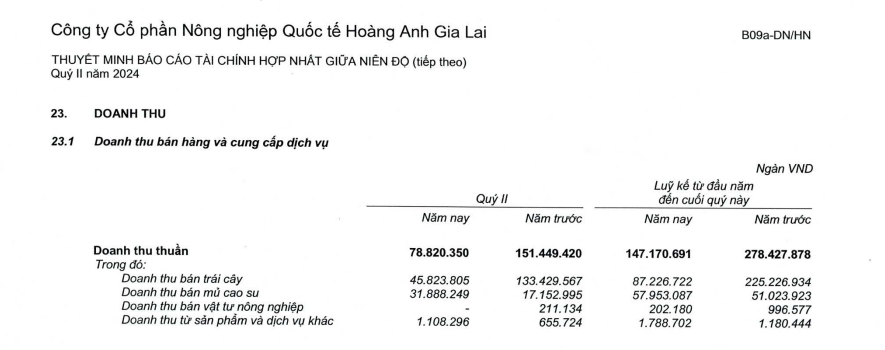 Tiếp tục bán lỗ trái cây và mủ cao su, HAGL Agrico (HNG) lỗ nặng trước "án" hủy niêm yết- Ảnh 1.