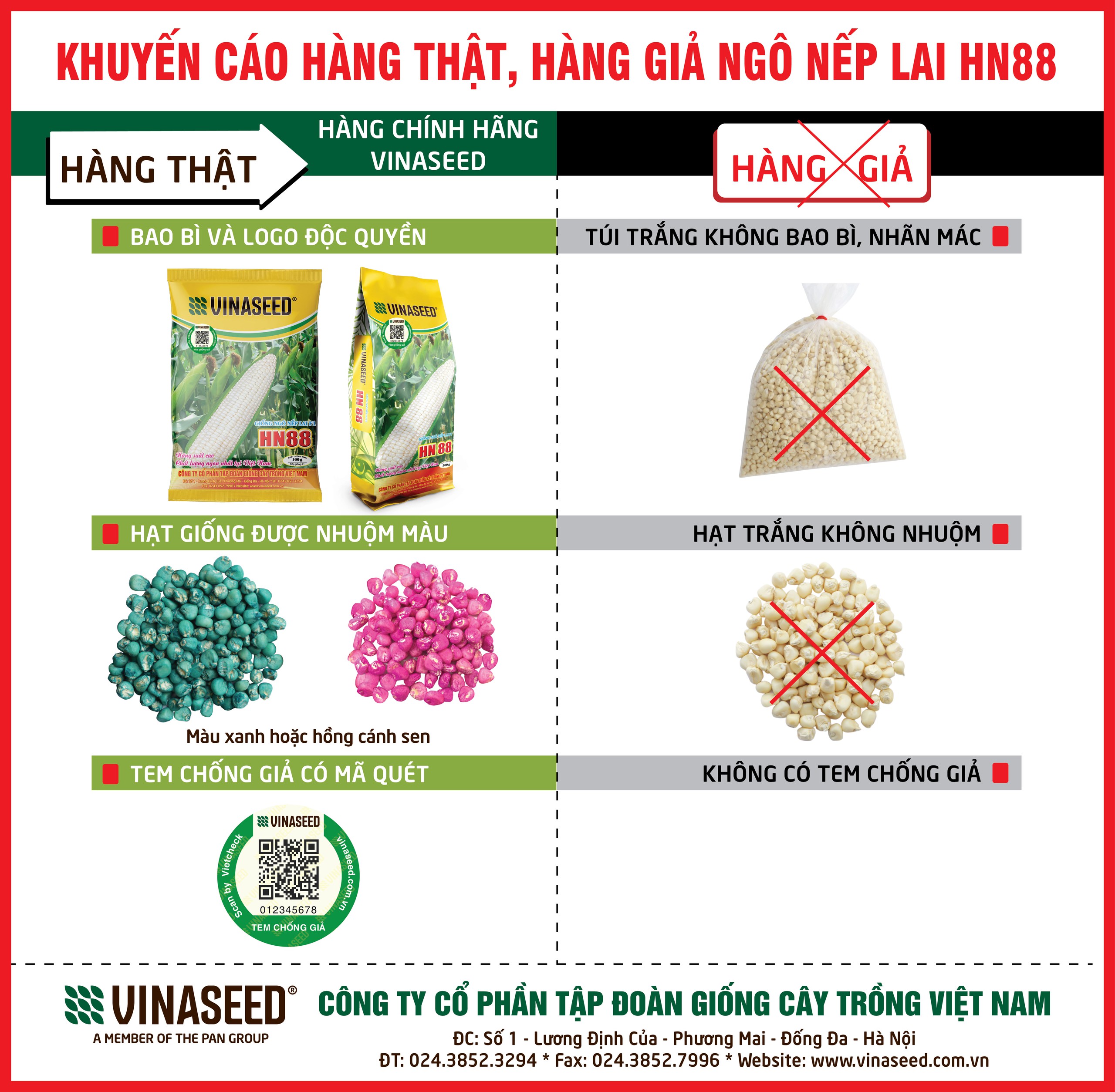 Cách phân biệt hàng thật – hàng giả giống ngô nếp lai HN88 của VINASEED- Ảnh 1.