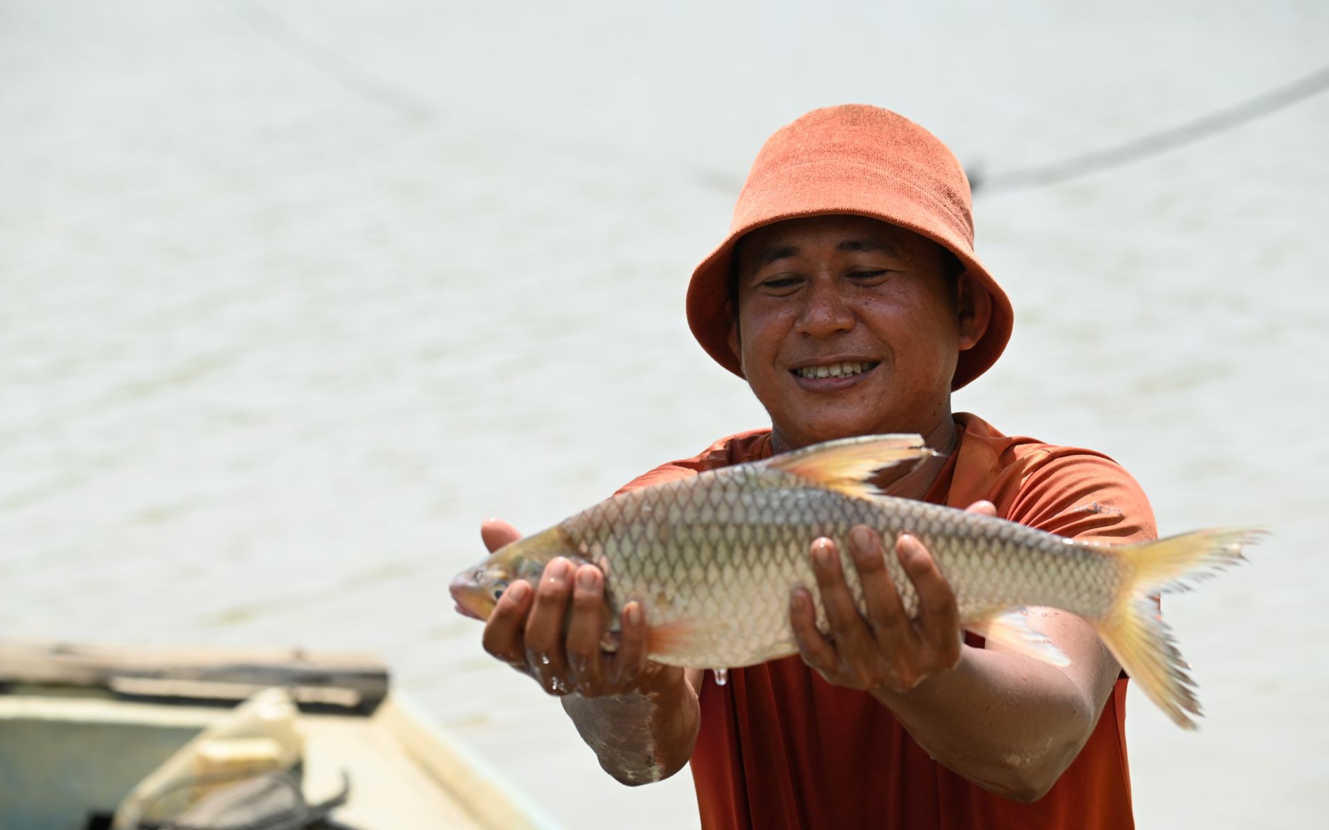 Cá linh non, sản vật mùa nước nổi miền Tây đã về, nước lũ tràn đồng vùng đầu nguồn An Giang - Ảnh 7.