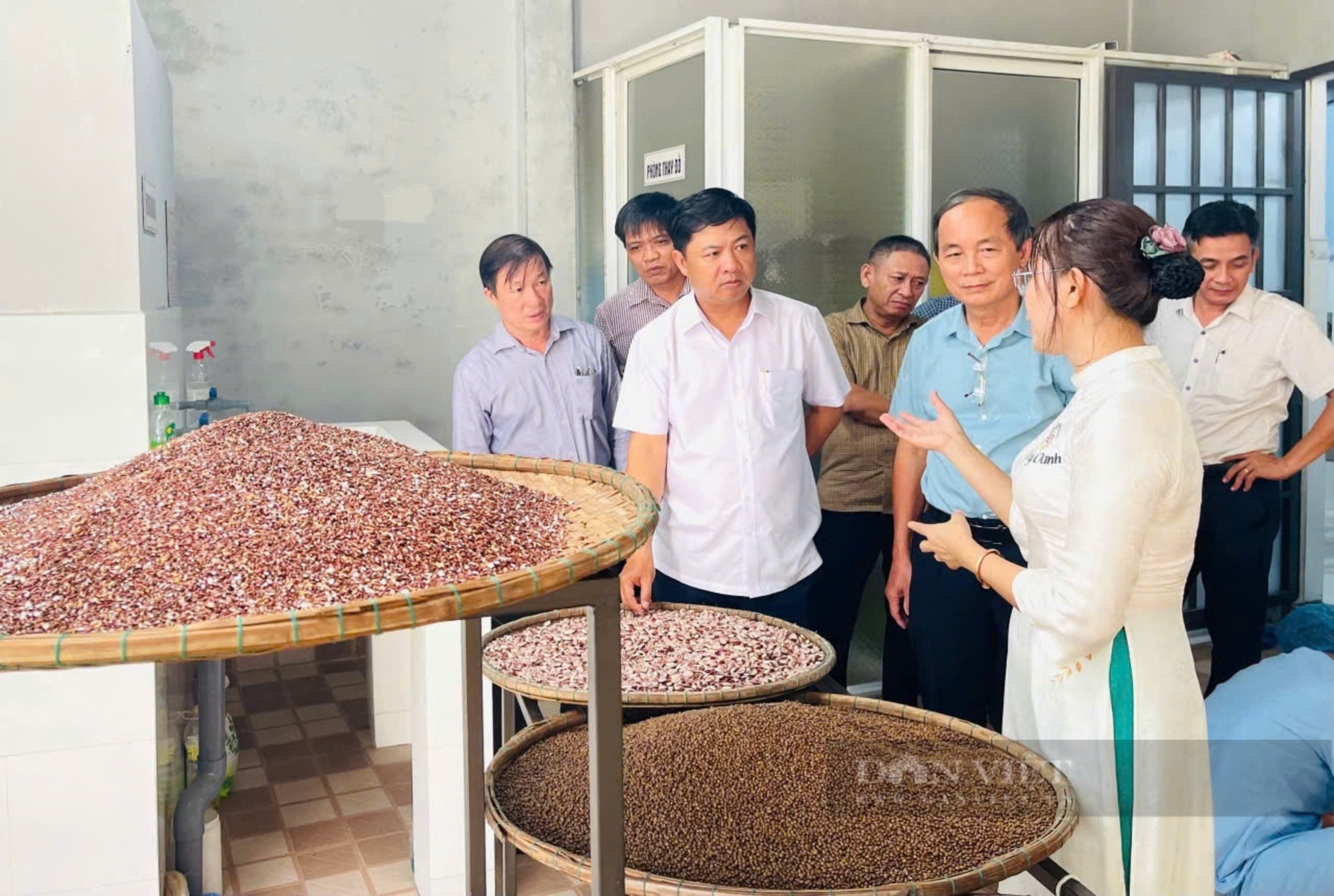 Liên minh Hợp tác xã Quảng Nam: Bệ đỡ giúp hợp tác xã, tổ hợp tác ngày càng phát triển- Ảnh 1.