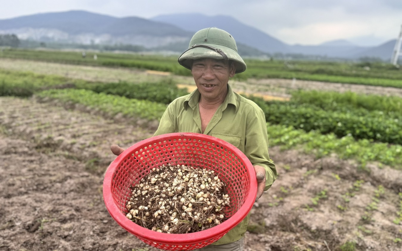 Từ Hàn Quốc về quê Bình Định trồng lan rừng, thứ cây cảnh quý tộc, ai ngờ giàu như trúng số - Ảnh 1.