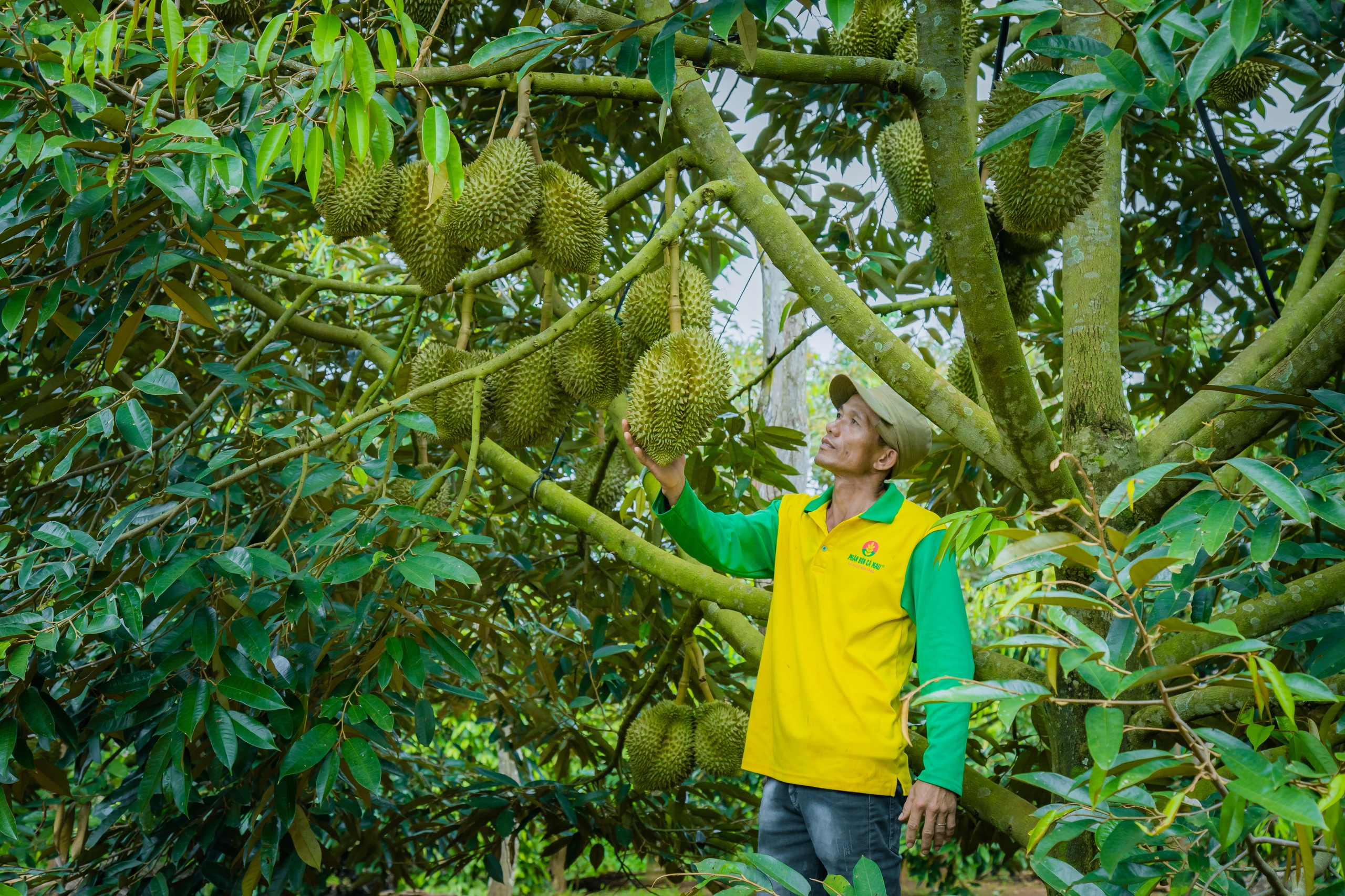 Agribank đồng hành cùng nông dân vượt qua khó khăn, phát triển kinh tế