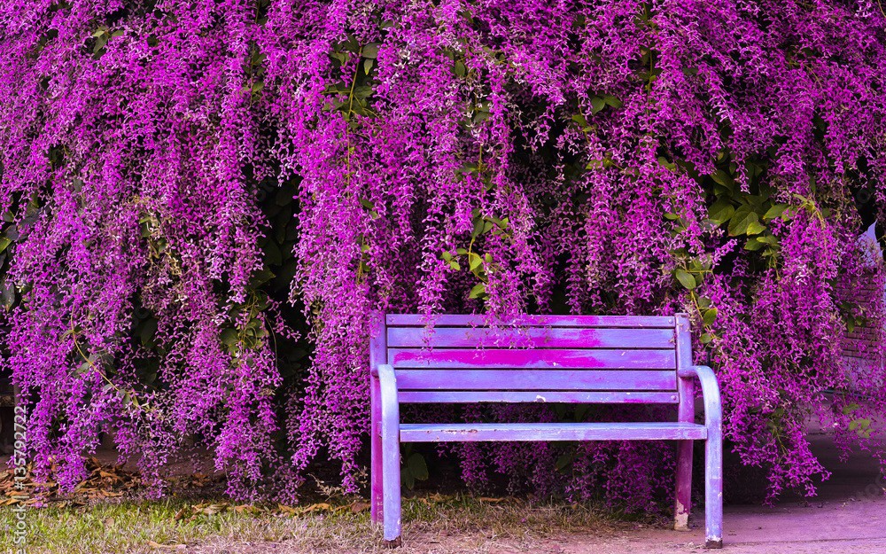 Người sinh vào ngày Âm lịch cát tường có mệnh phú quý, cuộc sống như ly rượu ngon, càng già càng đậm vị - Ảnh 4.