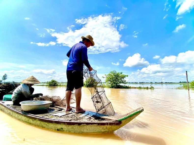 Cá linh non đã về khi mực nước đầu nguồn ở An Giang, Đồng Tháp mang theo sản vật mùa nước nổi - Ảnh 2.