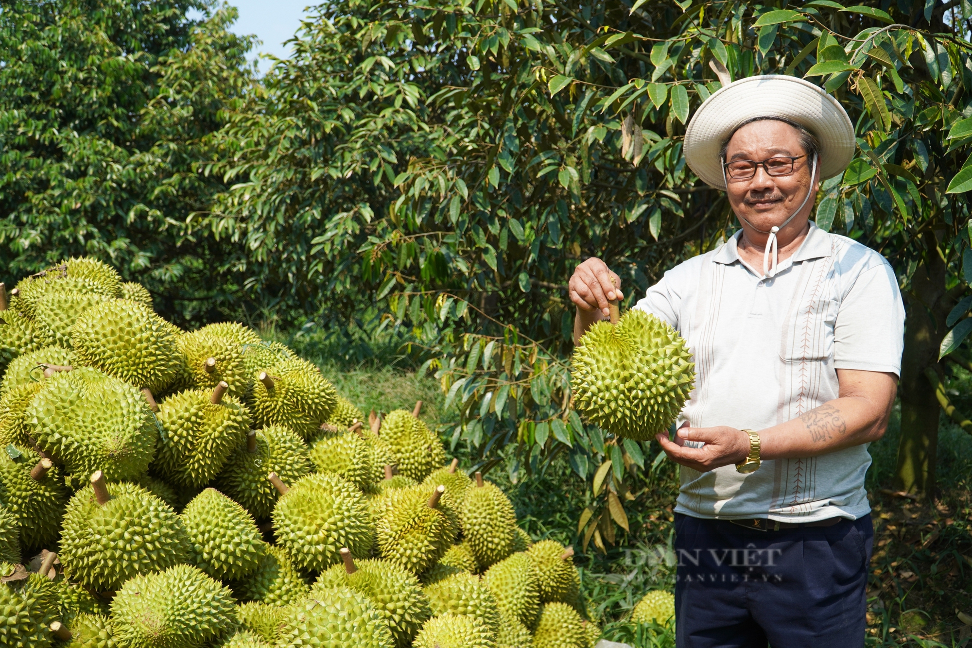 Trung Quốc nhập khẩu chính ngạnh sầu riêng đông lạnh Việt Nam, liệu có hết cảnh dội chợ, tuột giá?- Ảnh 1.