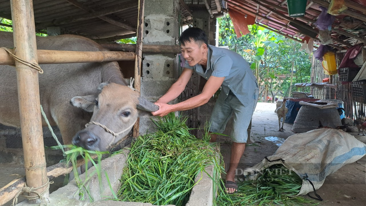 Đa dạng nhiều dự án giảm nghèo ở Phú Lương, tạo sinh kế giúp bà con thoát nghèo- Ảnh 2.