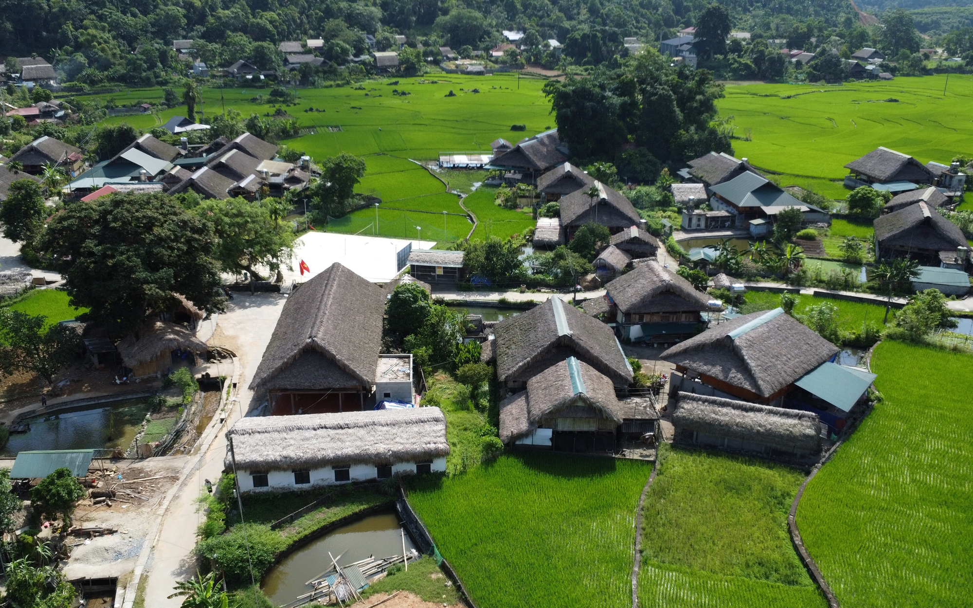 Nơi con sông Vàm Cỏ Đông từ Campuchia chảy vào đất Việt ở Tây Ninh, dân bắt cá ngon thế này đây - Ảnh 4.