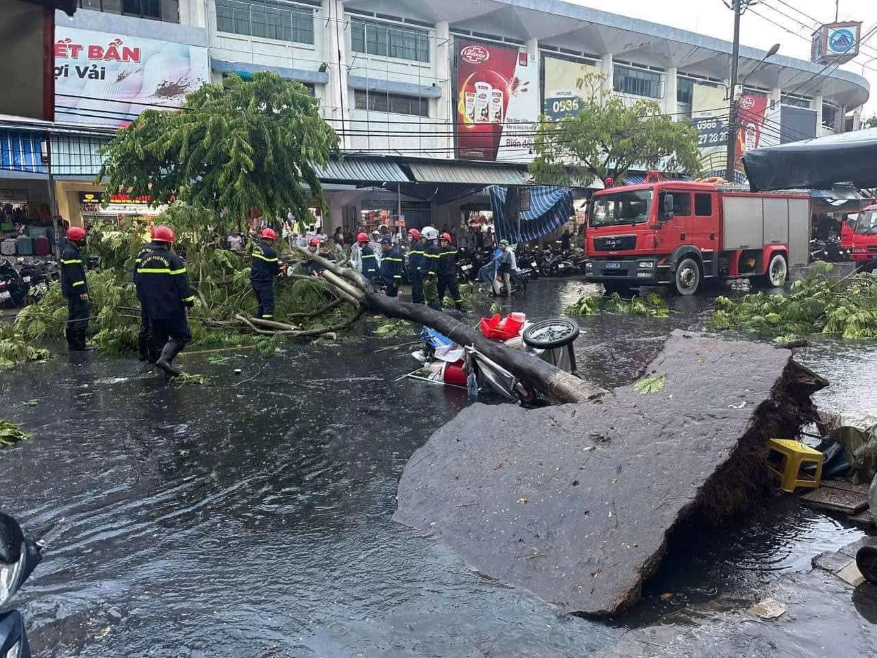 Mưa kèm gió lốc, cây ngã đè người phụ nữ nhập viện cấp cứu tại Đà Nẵng- Ảnh 1.