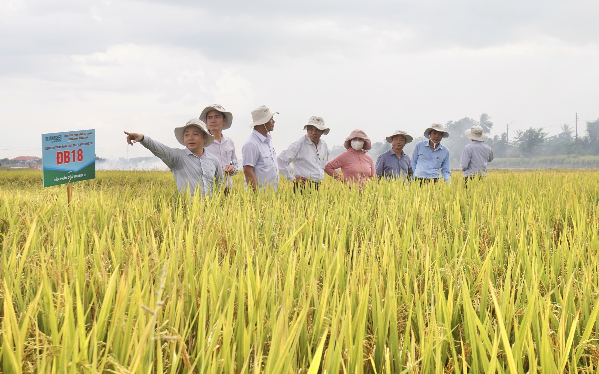 Các nhà khoa học hàng đầu từ 15 quốc gia "hiến kế" về  giống lúa chống chịu biến đổi khí hậu tại Việt Nam - Ảnh 4.