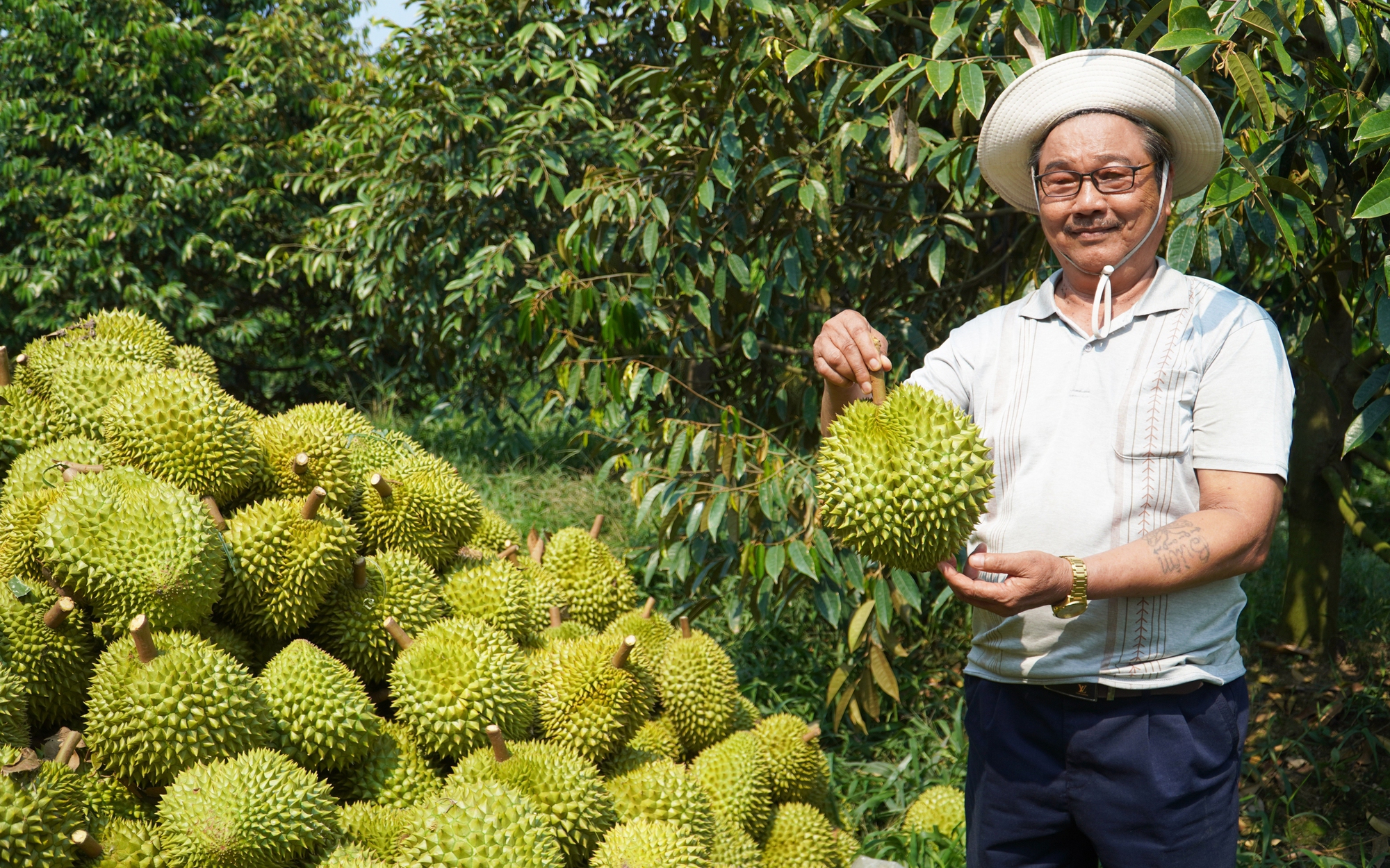 "Mỏ vàng sầu riêng", loại trái cây vua của Việt Nam: Sức nóng từ vùng trồng sầu riêng Tây Nguyên (Bài 1)- Ảnh 4.