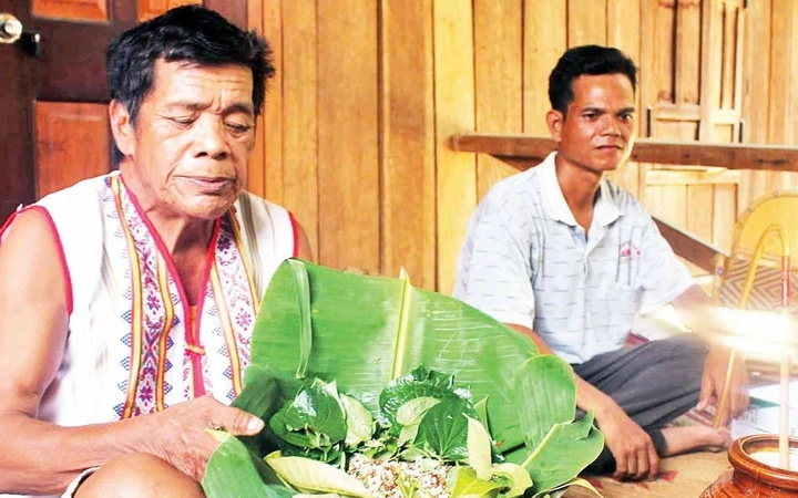 Loại rau rừng Tây Bắc ngon, sạch, lạ muốn đọc phải uốn lưỡi 2 lần, quý như nhân sâm của người Việt - Ảnh 1.