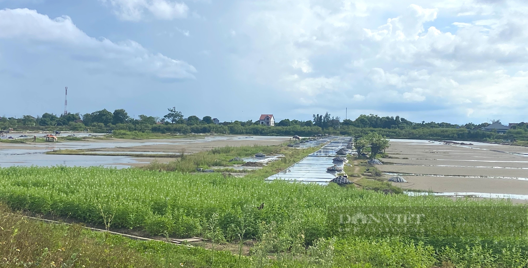 Những cánh đồng muối ở Hà Tĩnh vắng bóng diêm dân do giá muối quá bèo - Ảnh 6.