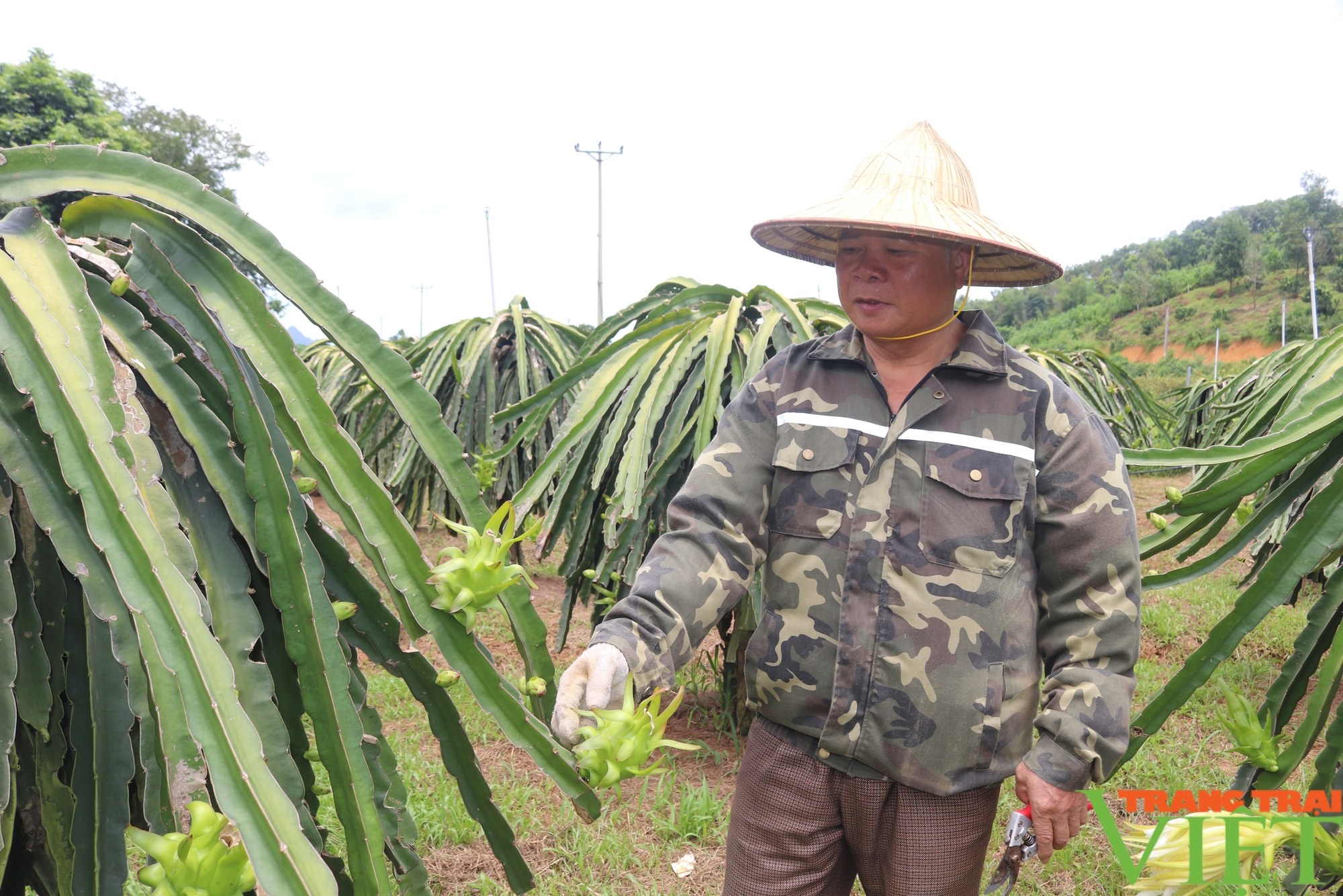 Hòa Bình: Kim Bôi phát triển và nâng cao chất lượng các sản phẩm OCOP - Ảnh 3.