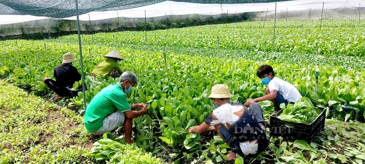 Nghệ nhân bắt đầu tham gia đào tạo nghề cho lao động nông thôn - Ảnh 2.