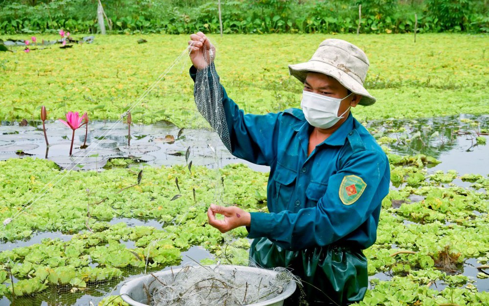 Đặc sản Quảng Ngãi kể ra vô số, cá bống sông Trà Khúc với nhà giàu, đại gia là đỉnh của thượng hạng - Ảnh 4.