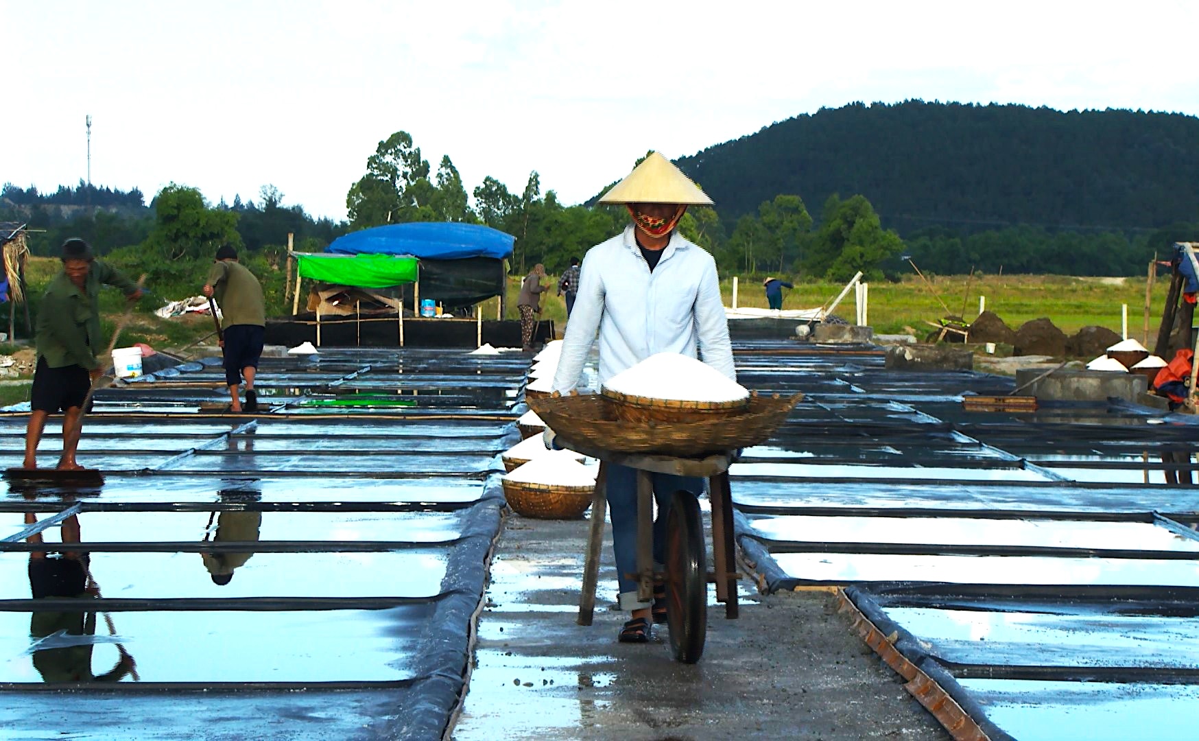 Những cánh đồng muối ở Hà Tĩnh vắng bóng diêm dân do giá muối quá bèo - Ảnh 2.