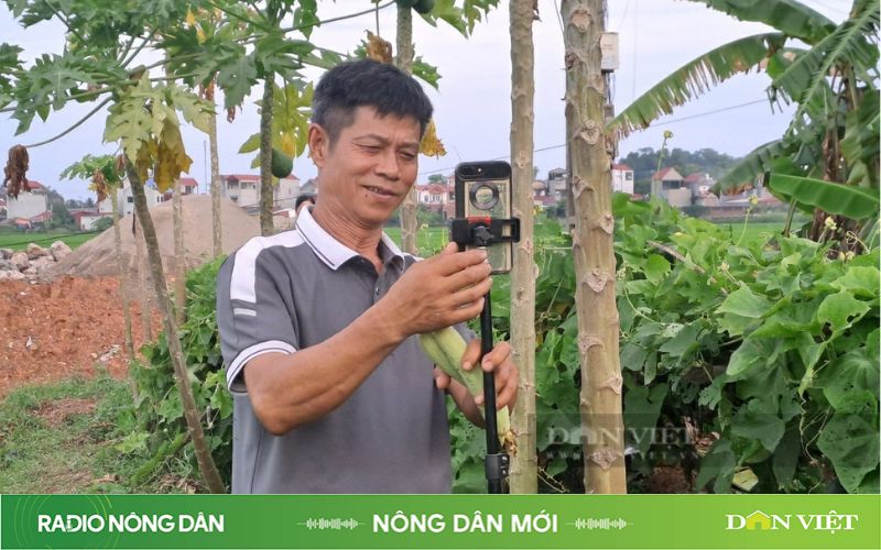 Ông nông dân thành tiktoker triệu view - Ảnh 1.