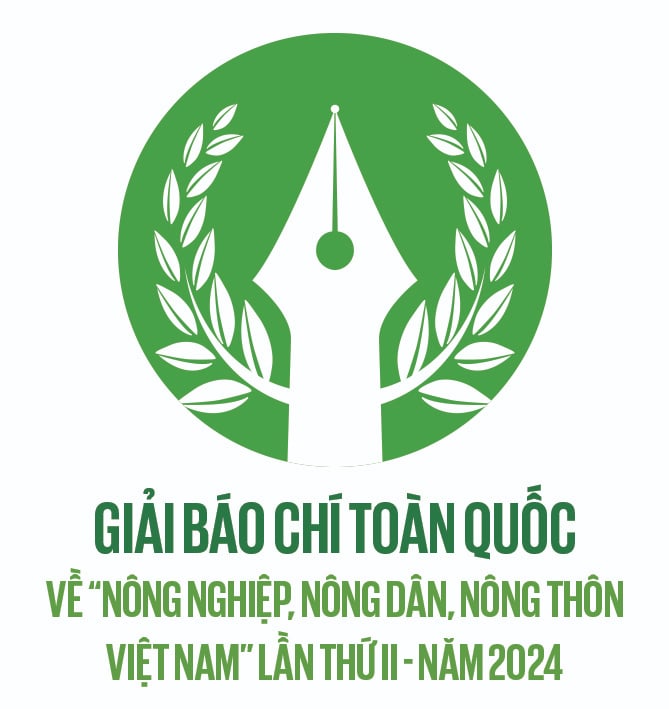 Nông dân gượng dậy thế nào sau bão Yagi: Thiệt hại 100 tỷ đồng, Nhật Long đứng lên sau đổ nát (Bài 2) - Ảnh 1.