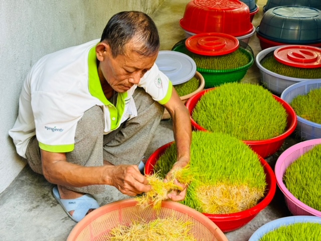 Kỳ công cách làm loại đặc sản vang danh của người dân Quảng Ngãi- Ảnh 1.