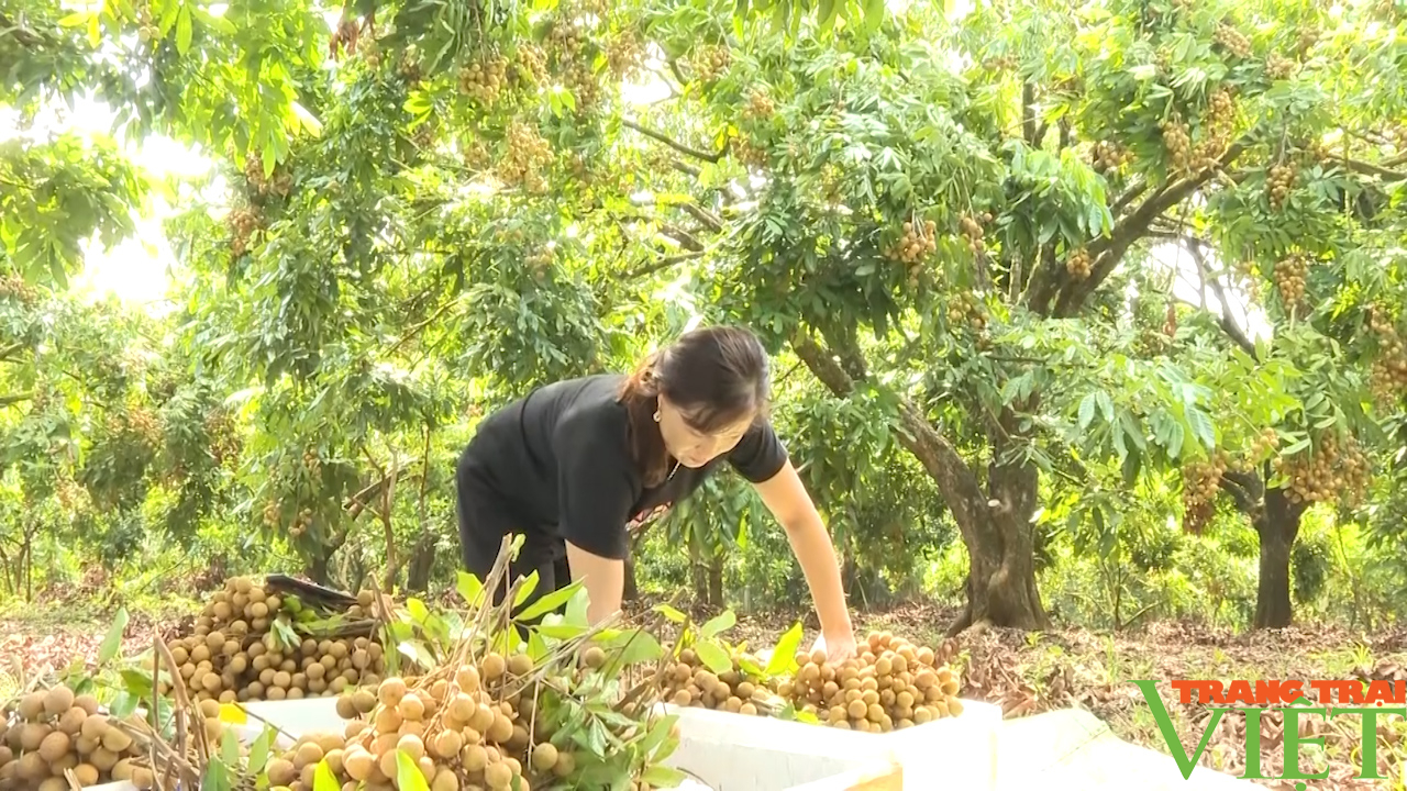 Yên Châu: Vượt khó vươn lên, xây dựng quê hương ngày càng phát triển - Ảnh 4.