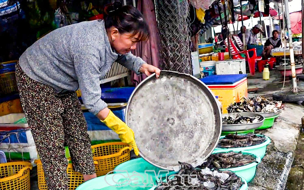 Dưa hấu ngon, được nắng, dân huyện này của Bình Định hễ hái một sào được 2,6 tấn, bán hết veo - Ảnh 2.