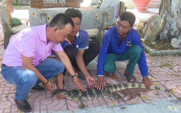 Sông Tiền, sông Hậu đã đưa nước son về đồng vùng đầu nguồn miền Tây, nước son là thứ nước gì? - Ảnh 1.