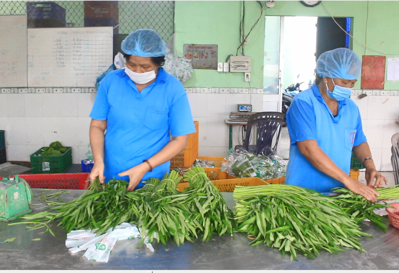 Bất ngờ với lượng phát thải từ ngành lương thực, thực phẩm - Ảnh 1.